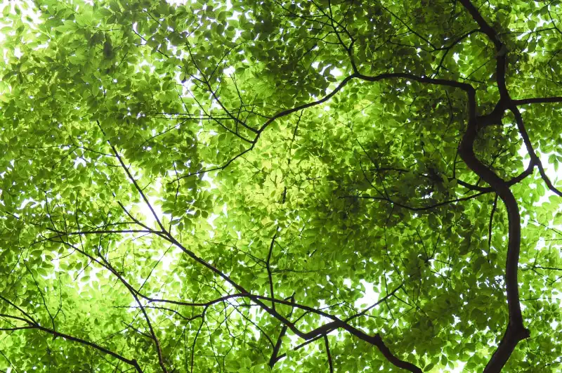 千娱音商务男装系列：精良面料与精湛工艺技术优势解析