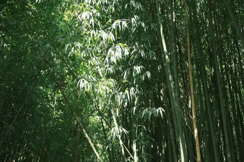 千娱音商务男装定制流程详解：从量体到成衣的全周期服务
