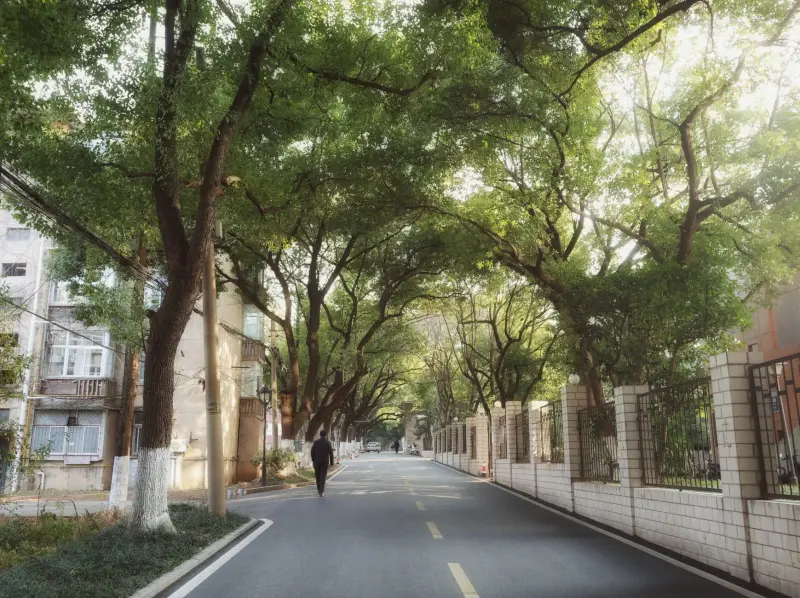 商务男装面料知识科普：精纺羊毛与混纺材质在西装定制中的性能差异解析